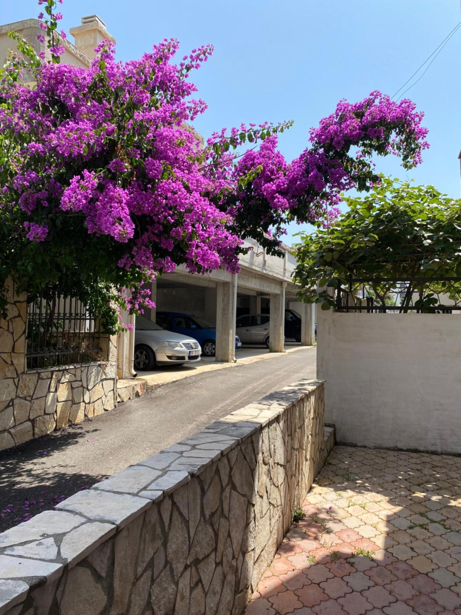 Apartments Vila Kurtagic ドプラー・ヴォダ エクステリア 写真