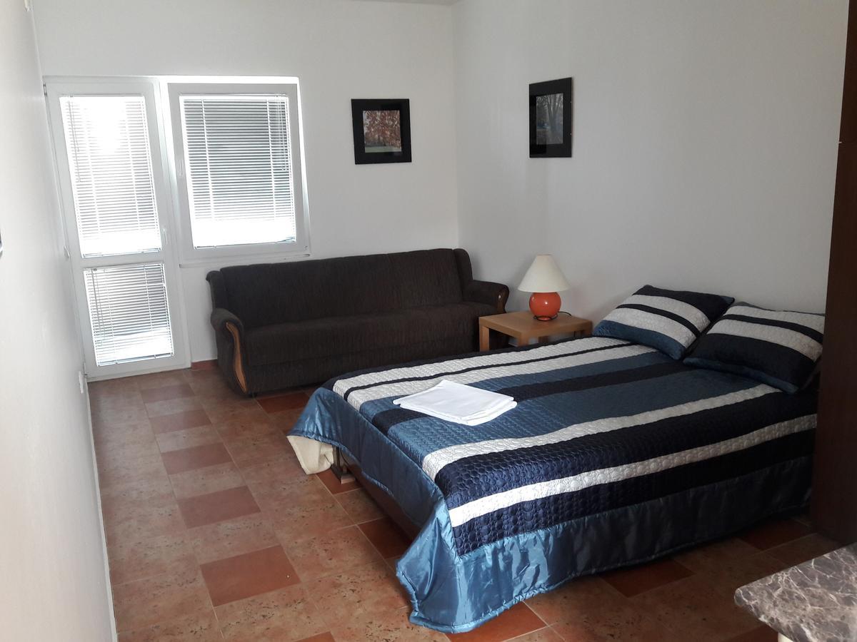 Apartments Vila Kurtagic ドプラー・ヴォダ エクステリア 写真
