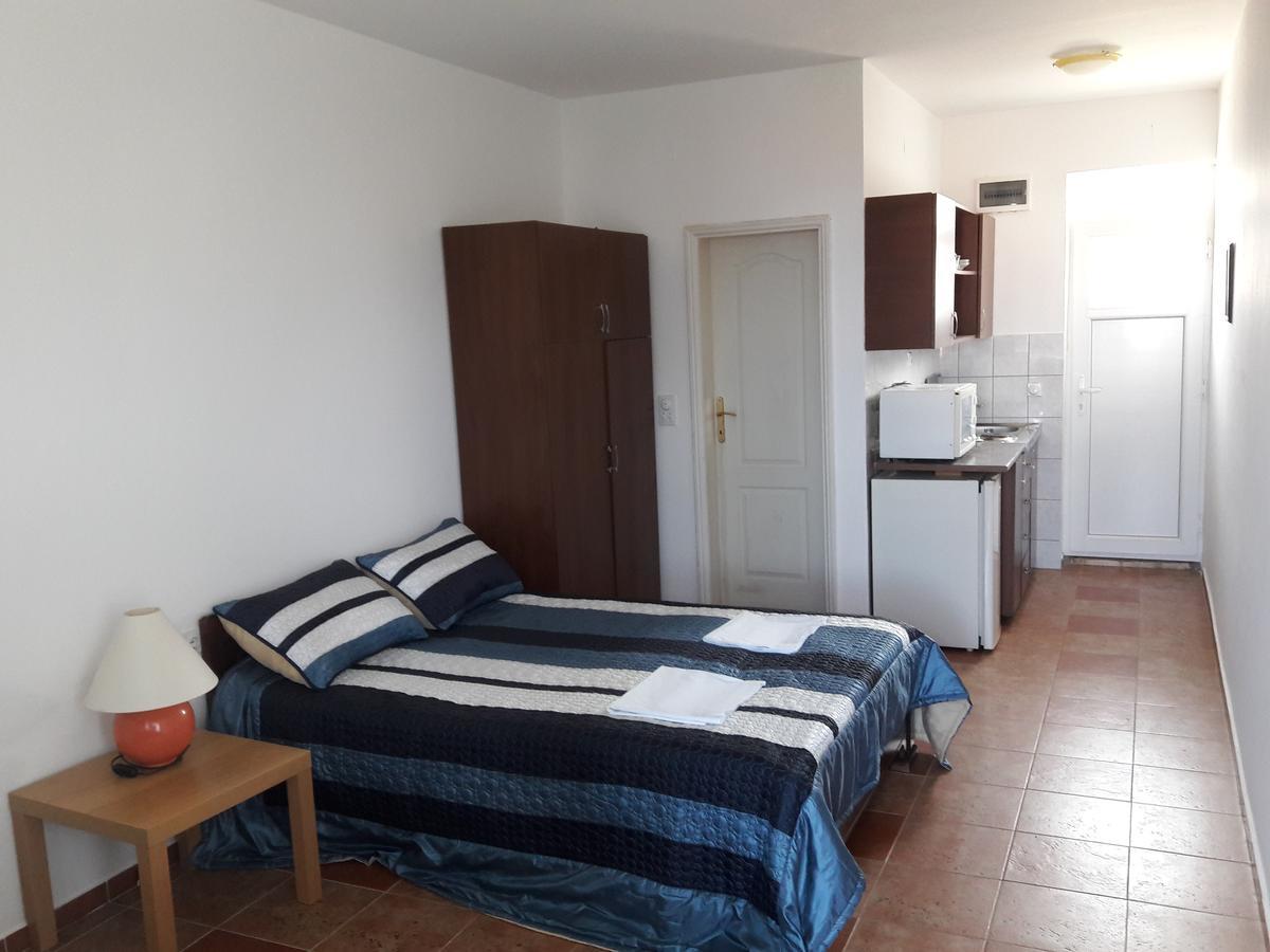 Apartments Vila Kurtagic ドプラー・ヴォダ エクステリア 写真